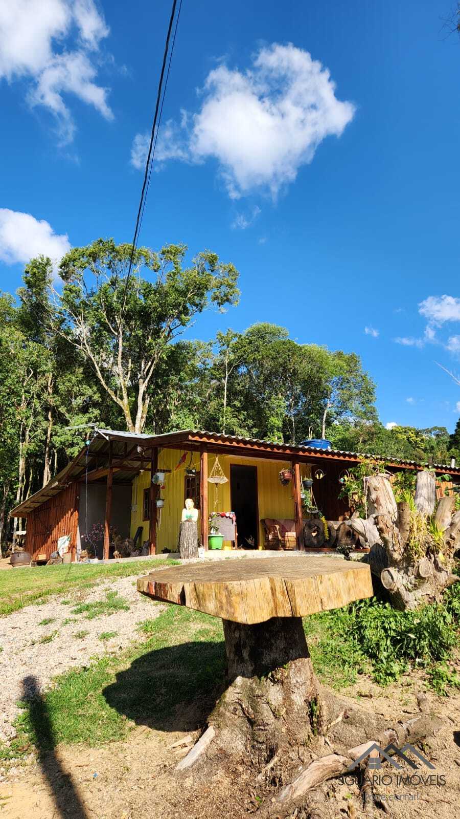 Rural à Venda, 10.859,00 m² - Foto 11