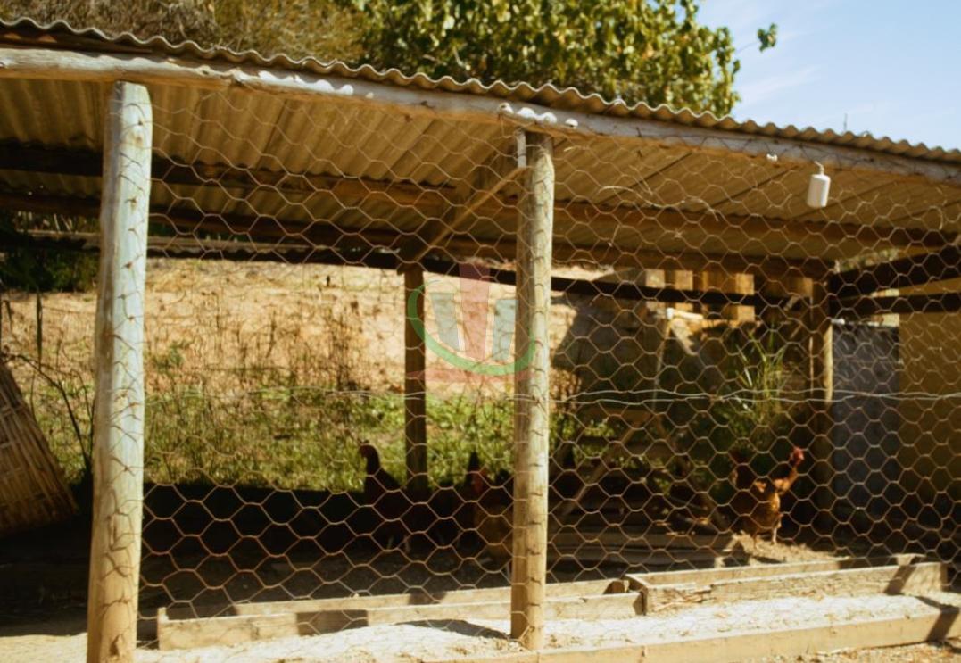 Rural com 4 Quartos à Venda, 241.000,00 m² - Foto 20