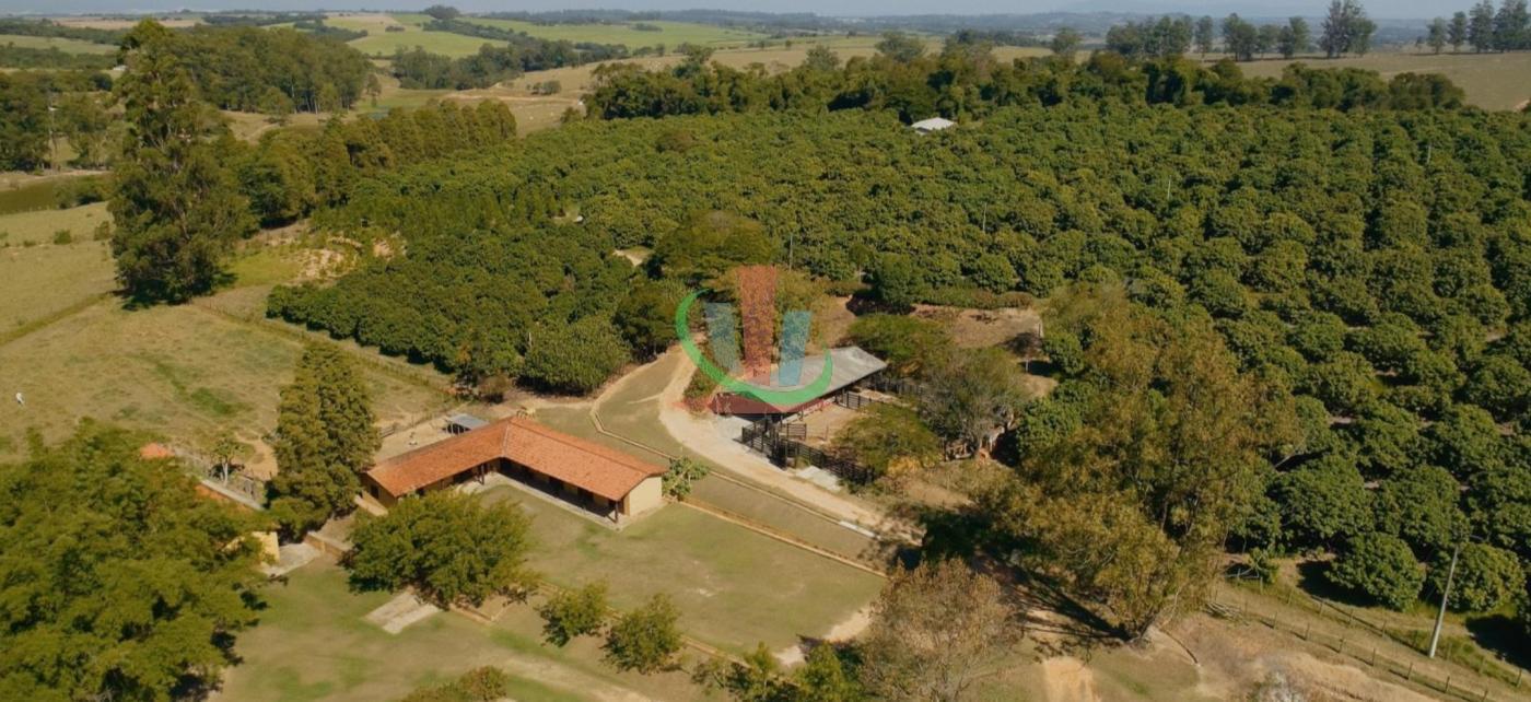 Rural com 4 Quartos à Venda, 241.000,00 m² - Foto 3