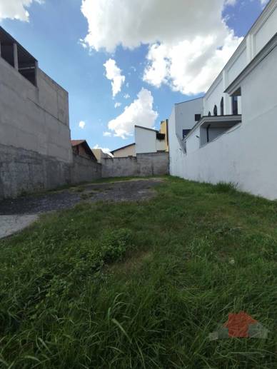 Terreno à Venda, 250,00 m² - Foto 3