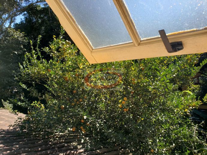 Casa com 3 Quartos para Temporada, 730,00 m² - Foto 14
