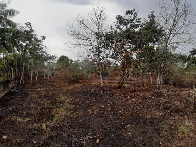 Terreno à Venda, 2.000,00 m² - Foto 2