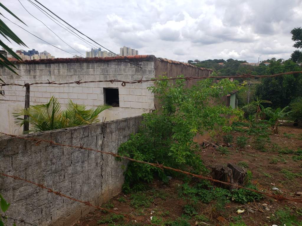 Terreno à Venda - Foto 6