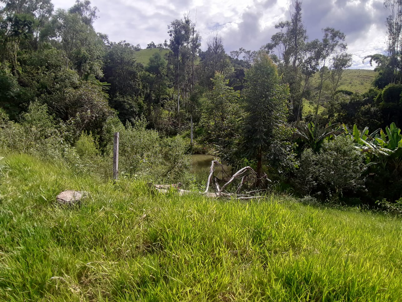 Rural com 3 Quartos à Venda, 314.600,00 m² - Foto 20