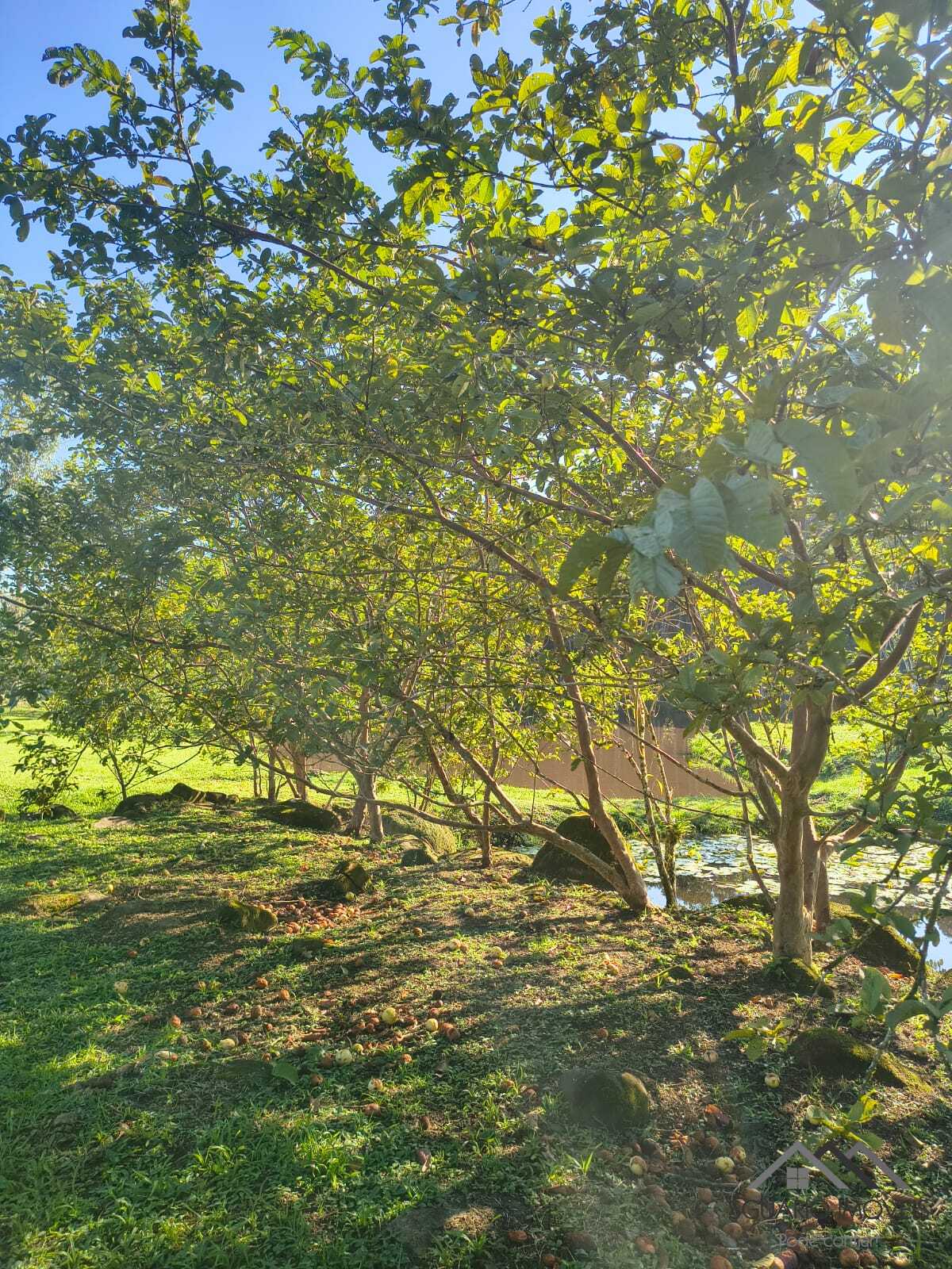 Rural à Venda, 84.700,00 m² - Foto 69