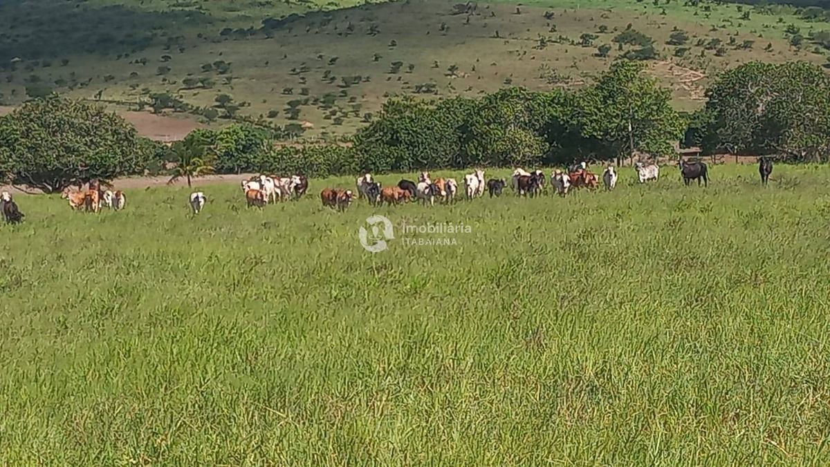 Rural com 5 Quartos à Venda, 868,00 m² - Foto 35