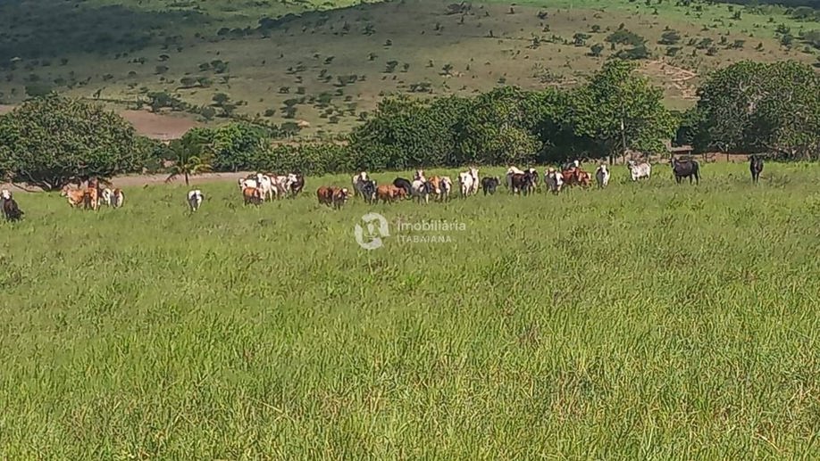 Rural com 5 Quartos à Venda, 868,00 m² - Foto 35