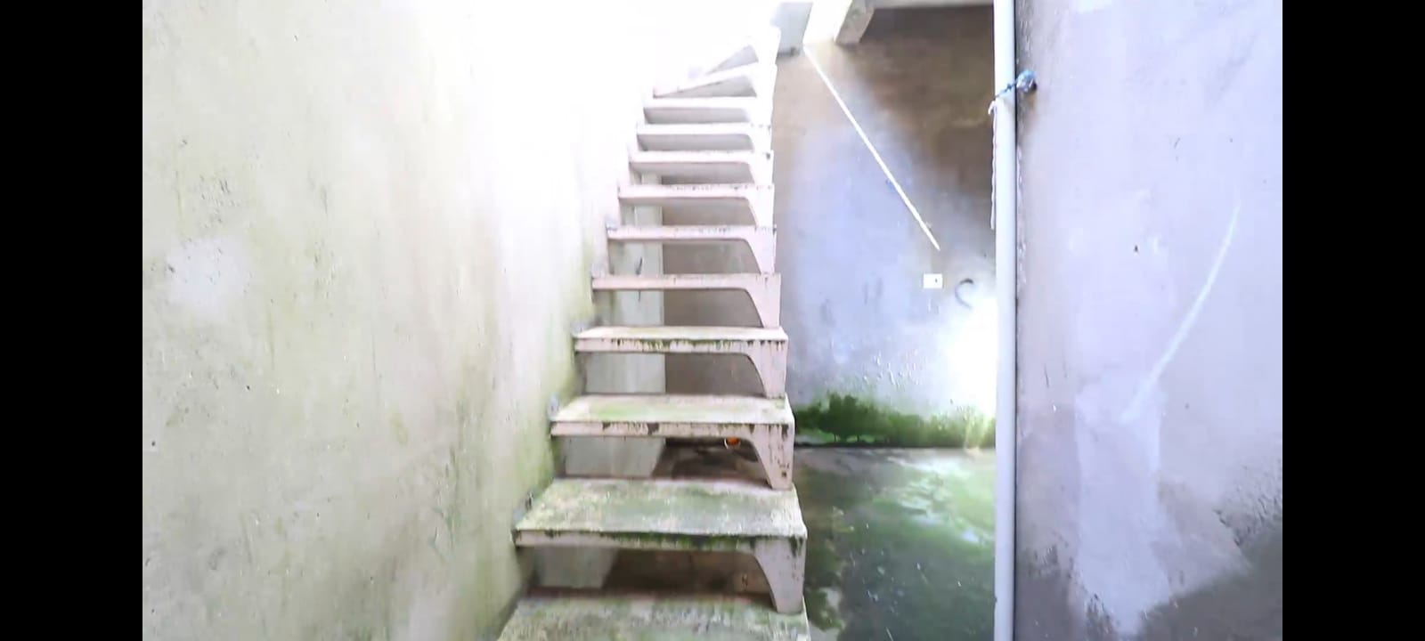 Casa com 4 Quartos à Venda, 300,00 m² - Foto 6