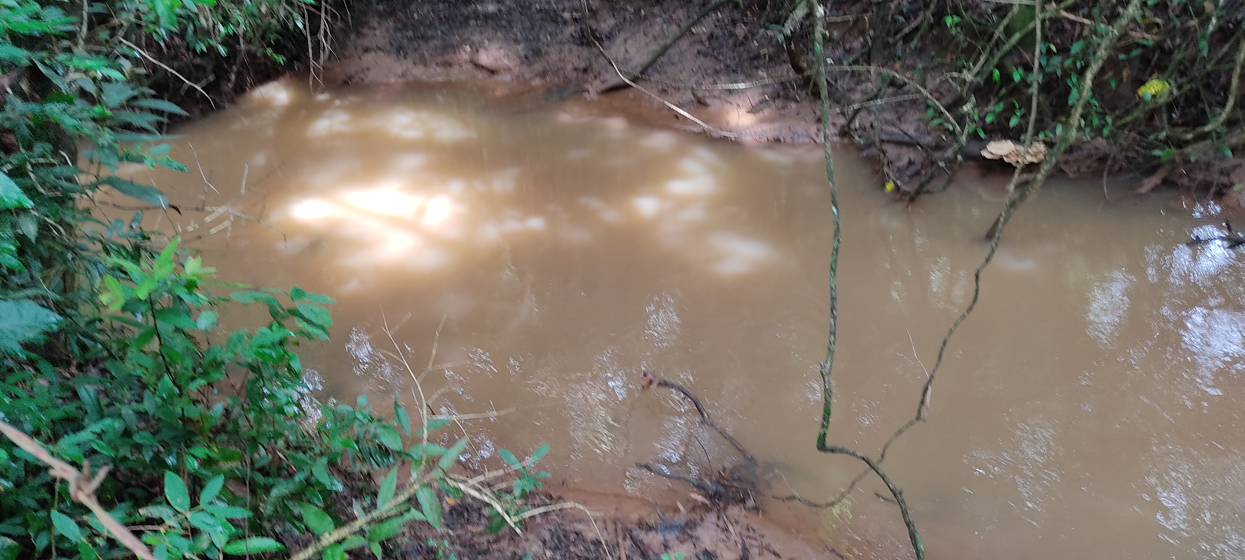 Rural à Venda, 66.000,00 m² - Foto 4
