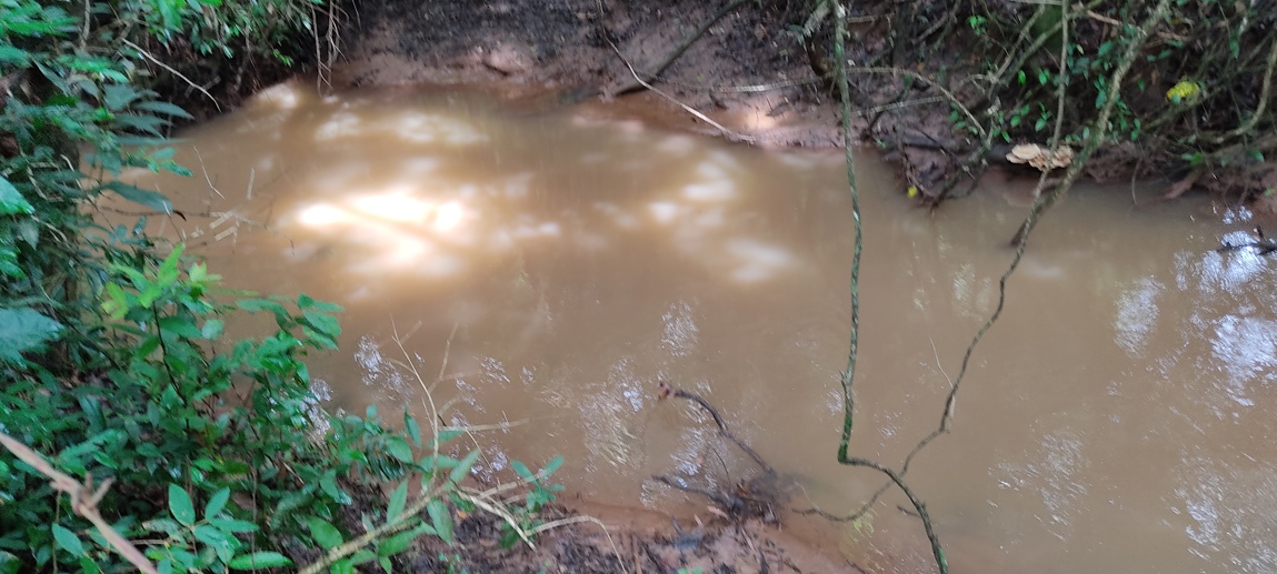 Rural à Venda, 66.000,00 m² - Foto 3