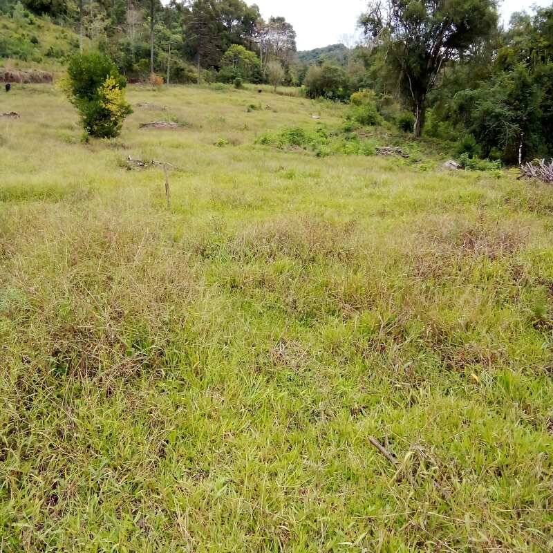 Rural à Venda, 2.375,00 m² - Foto 1