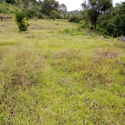 Rural à Venda, 2.375,00 m² - Foto 1