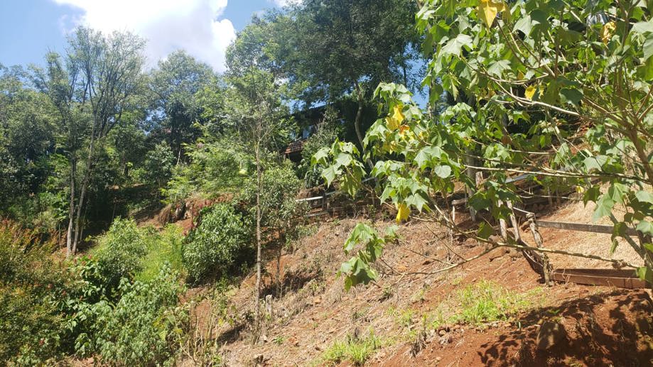 Rural com 2 Quartos à Venda - Foto 16
