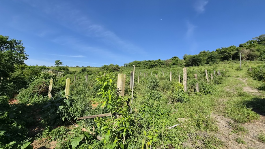 Rural à Venda, 145.585,00 m² - Foto 3