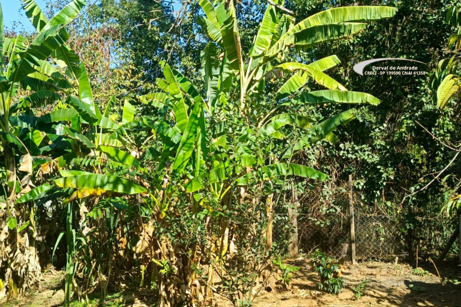 Rural com 2 Quartos à Venda, 1.411,00 m² - Foto 14