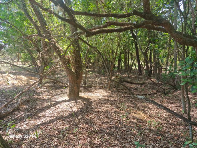 Terreno à Venda, 56.645,32 m² - Foto 9