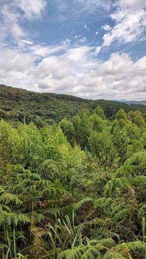 Rural com 2 Quartos à Venda, 6.487,37 m² - Foto 15