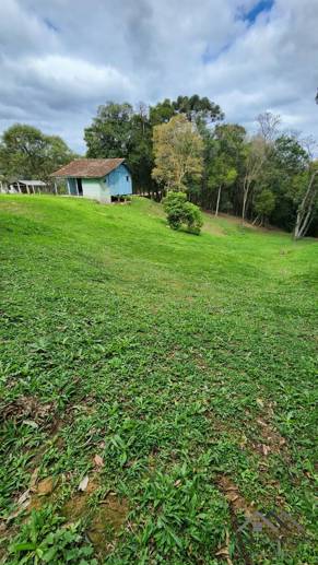 Terreno à Venda, 17.000,00 m² - Foto 2
