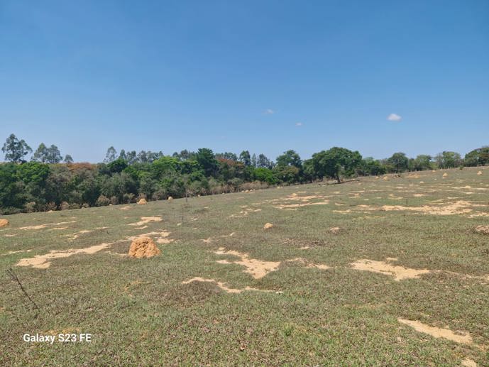 Terreno à Venda, 56.645,32 m² - Foto 3