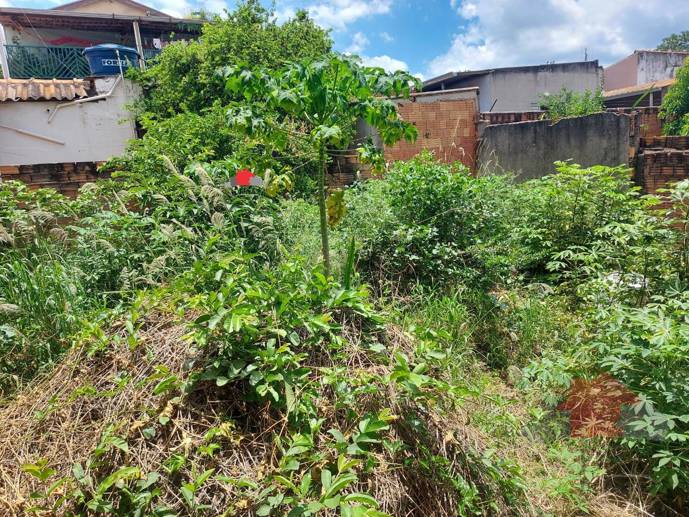 Casa com 5 Quartos à Venda, 250,00 m² - Foto 1
