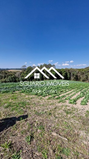 Rural com 3 Quartos à Venda, 20.800,00 m² - Foto 16