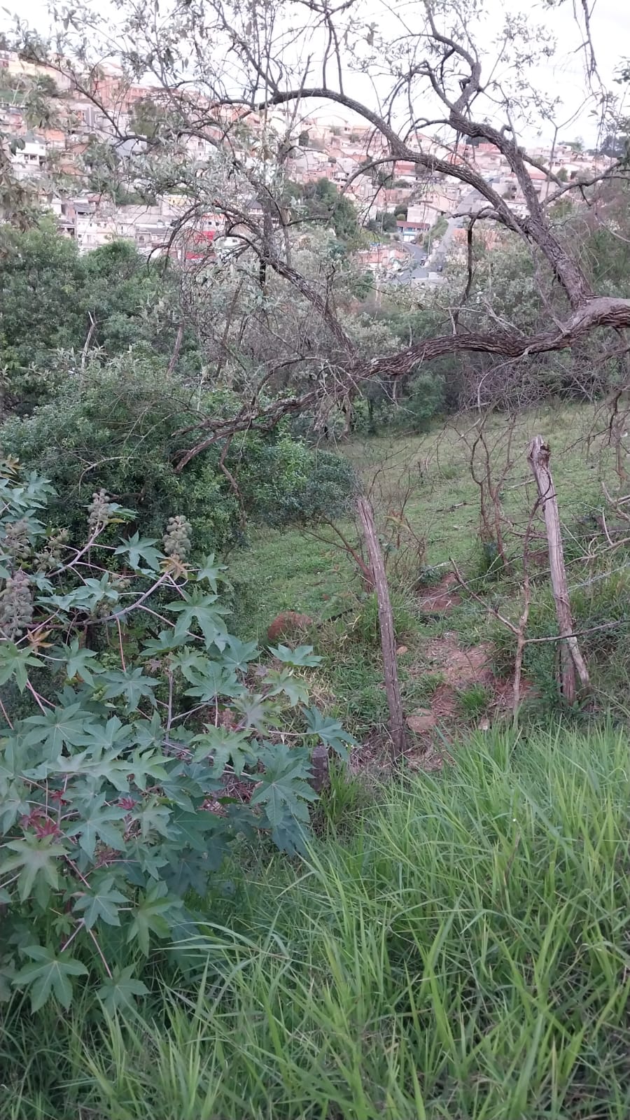 Terreno à Venda - Foto 2