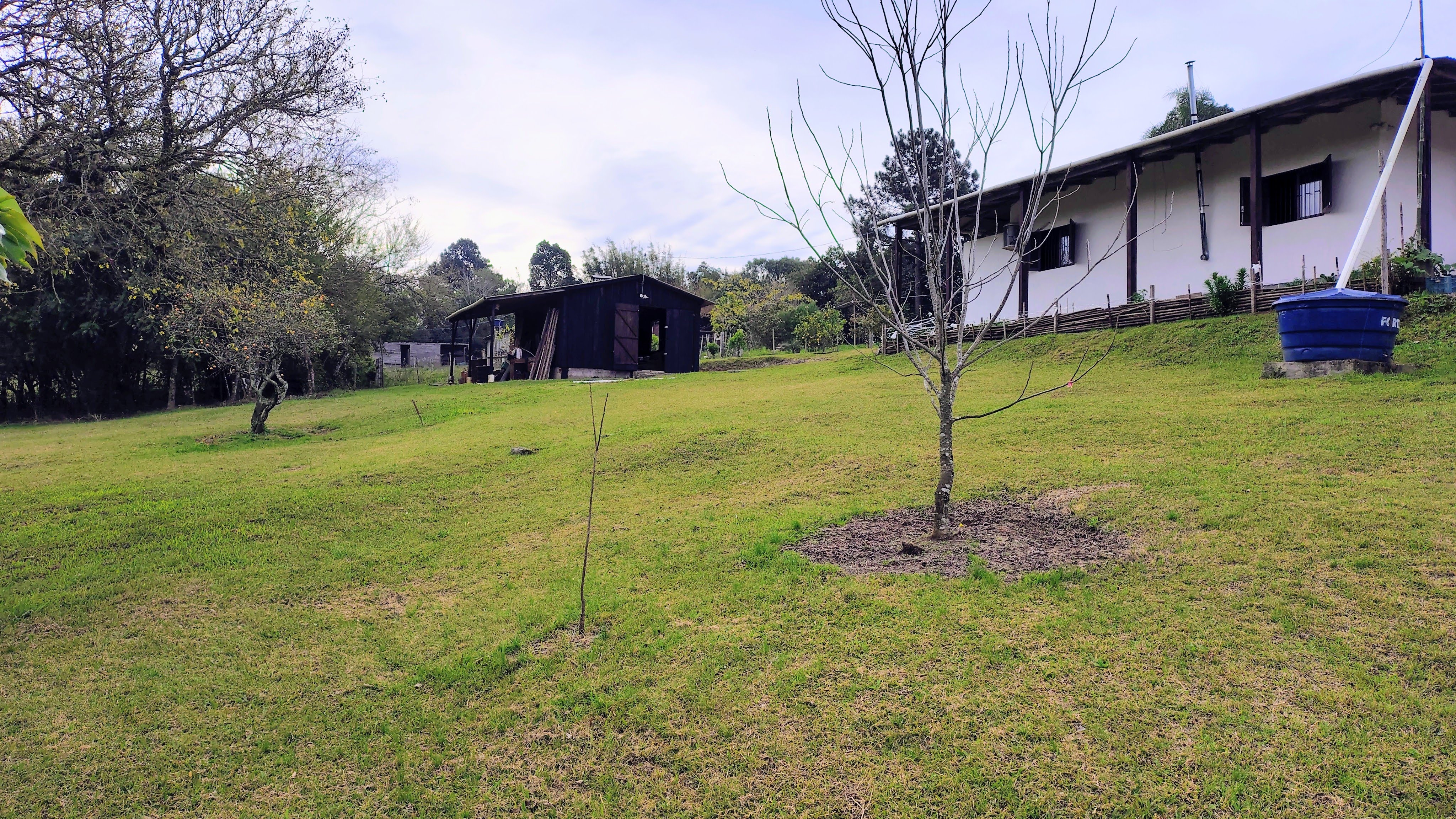 Rural com 2 Quartos à Venda, 20.000,00 m² - Foto 1