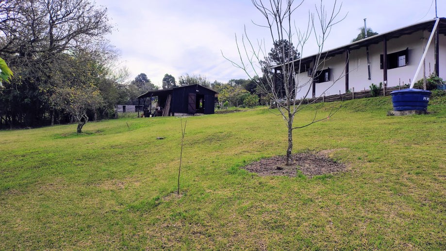 Rural com 2 Quartos à Venda, 20.000,00 m² - Foto 1