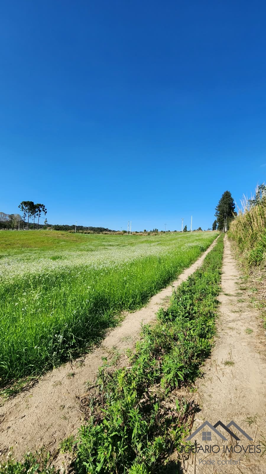 Rural à Venda, 24.200,00 m² - Foto 8