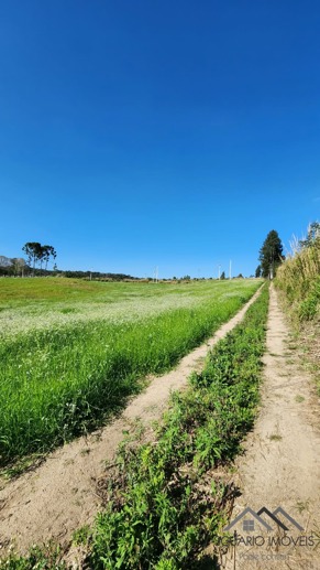 Rural à Venda, 24.200,00 m² - Foto 8