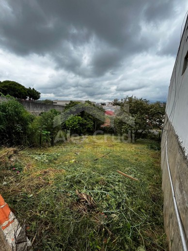 Terreno à Venda, 340,00 m² - Foto 11