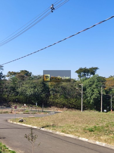 Terreno à Venda, 300,00 m² - Foto 16