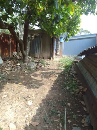 Casa com 2 Quartos à Venda, 400,00 m² - Foto 2
