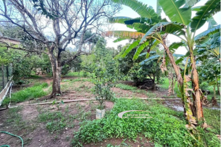 Rural com 2 Quartos à Venda, 1.411,00 m² - Foto 17