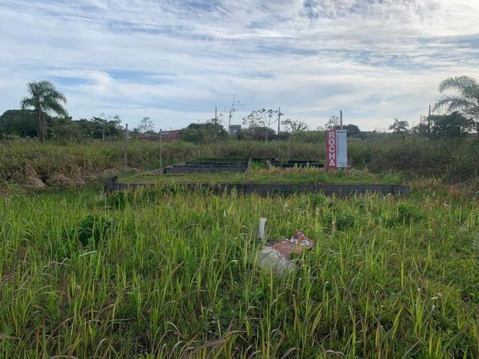 Terreno à Venda, 250,00 m² - Foto 4