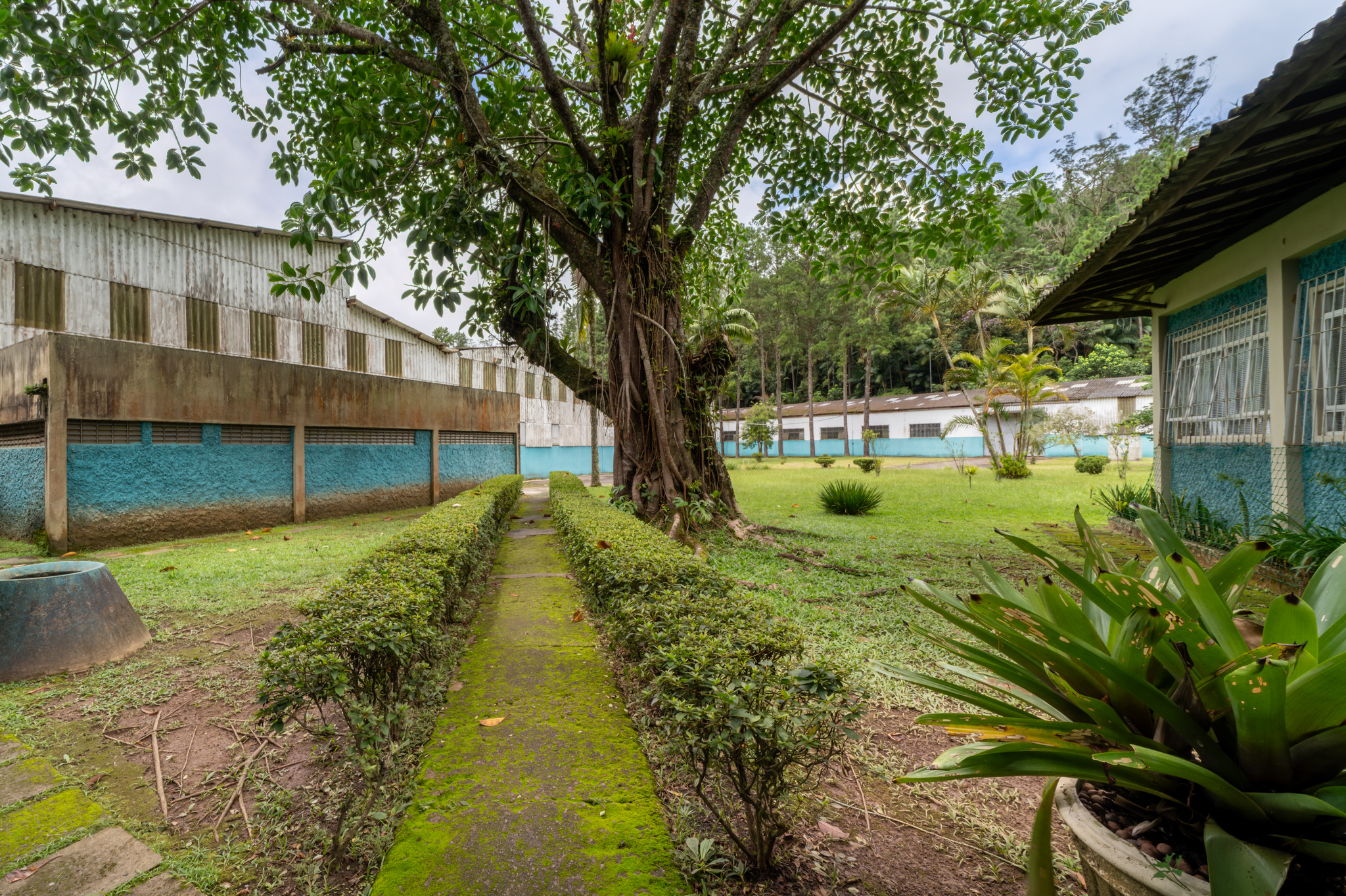 Comercial à Venda, 135.200,00 m² - Foto 16