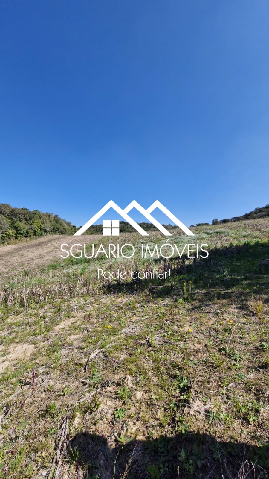 Rural com 3 Quartos à Venda, 20.800,00 m² - Foto 14