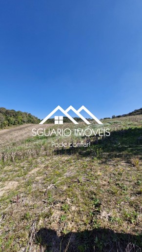 Rural com 3 Quartos à Venda, 20.800,00 m² - Foto 14