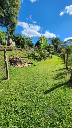 Rural à Venda, 3.025,00 m² - Foto 16