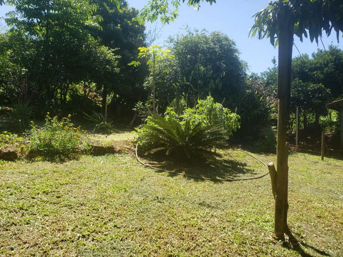 Casa com 3 Quartos à Venda, 60,00 m² - Foto 4