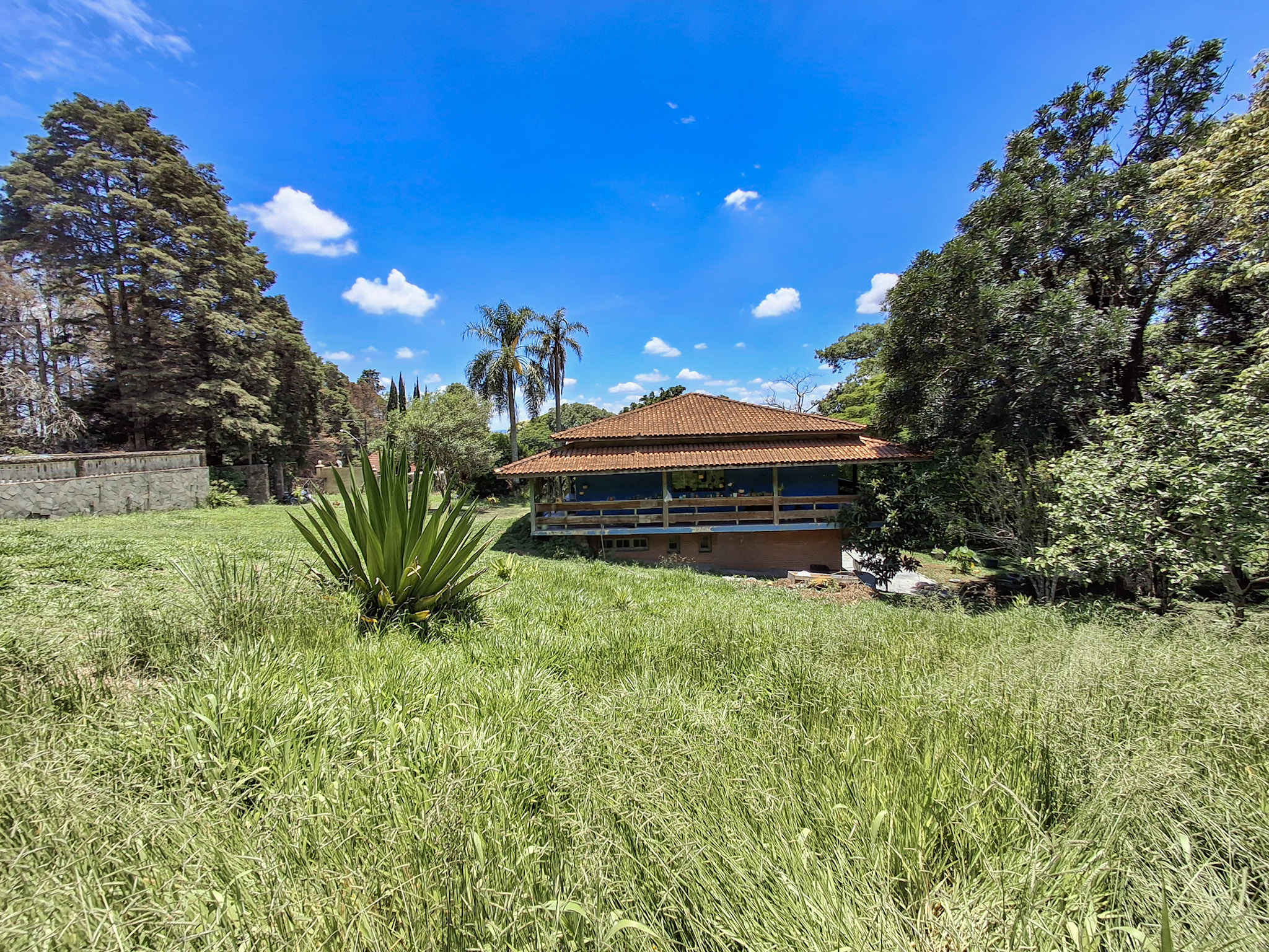 Rural com 3 Quartos à Venda, 5.400,00 m² - Foto 7