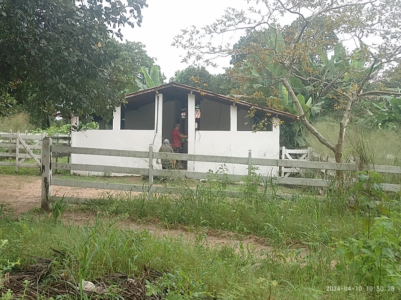 Rural com 4 Quartos à Venda - Foto 7