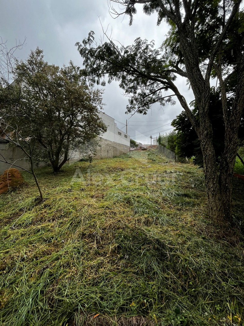 Terreno à Venda, 340,00 m² - Foto 12