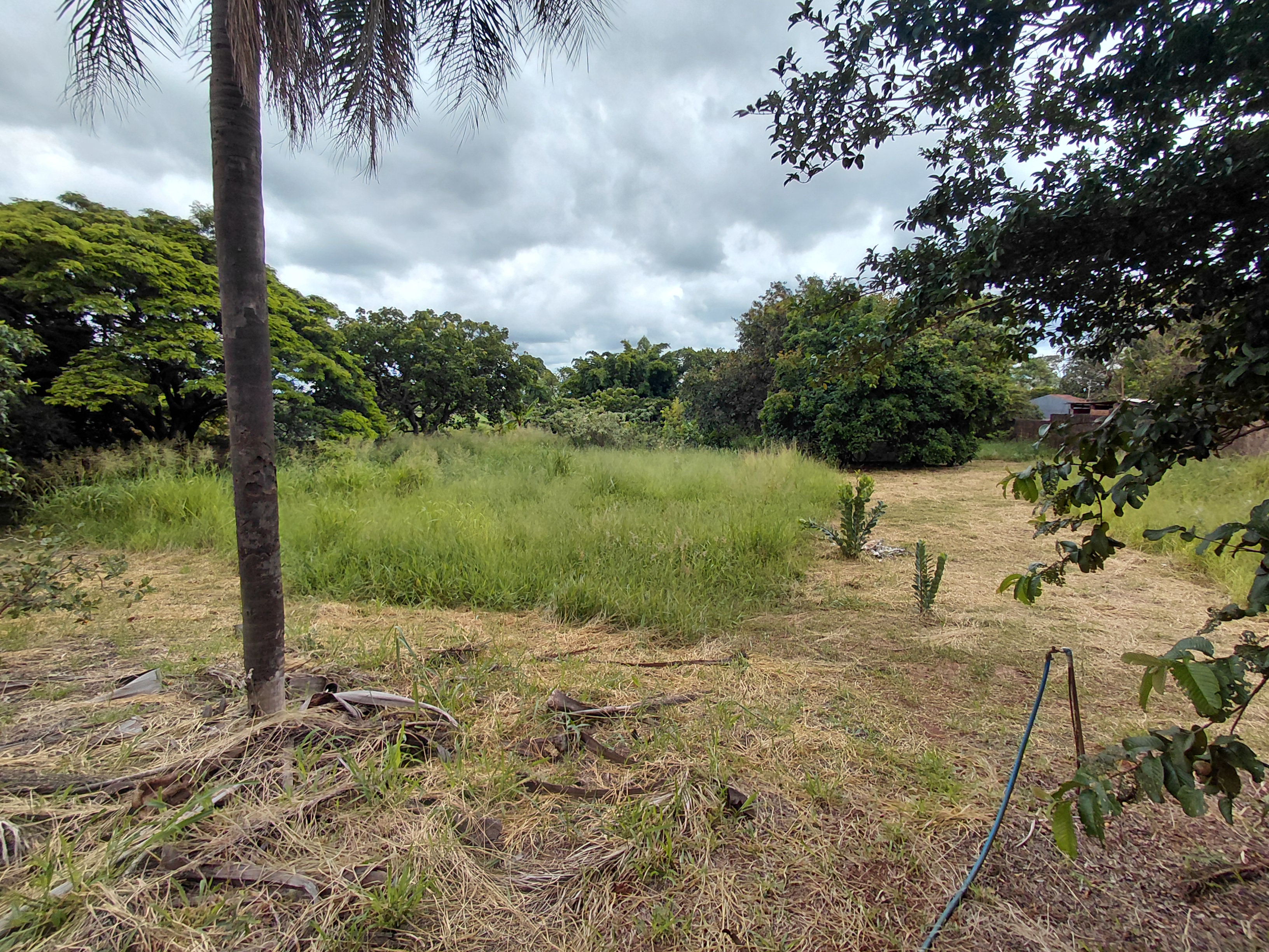 Casa com 2 Quartos à Venda, 7.480,00 m² - Foto 9