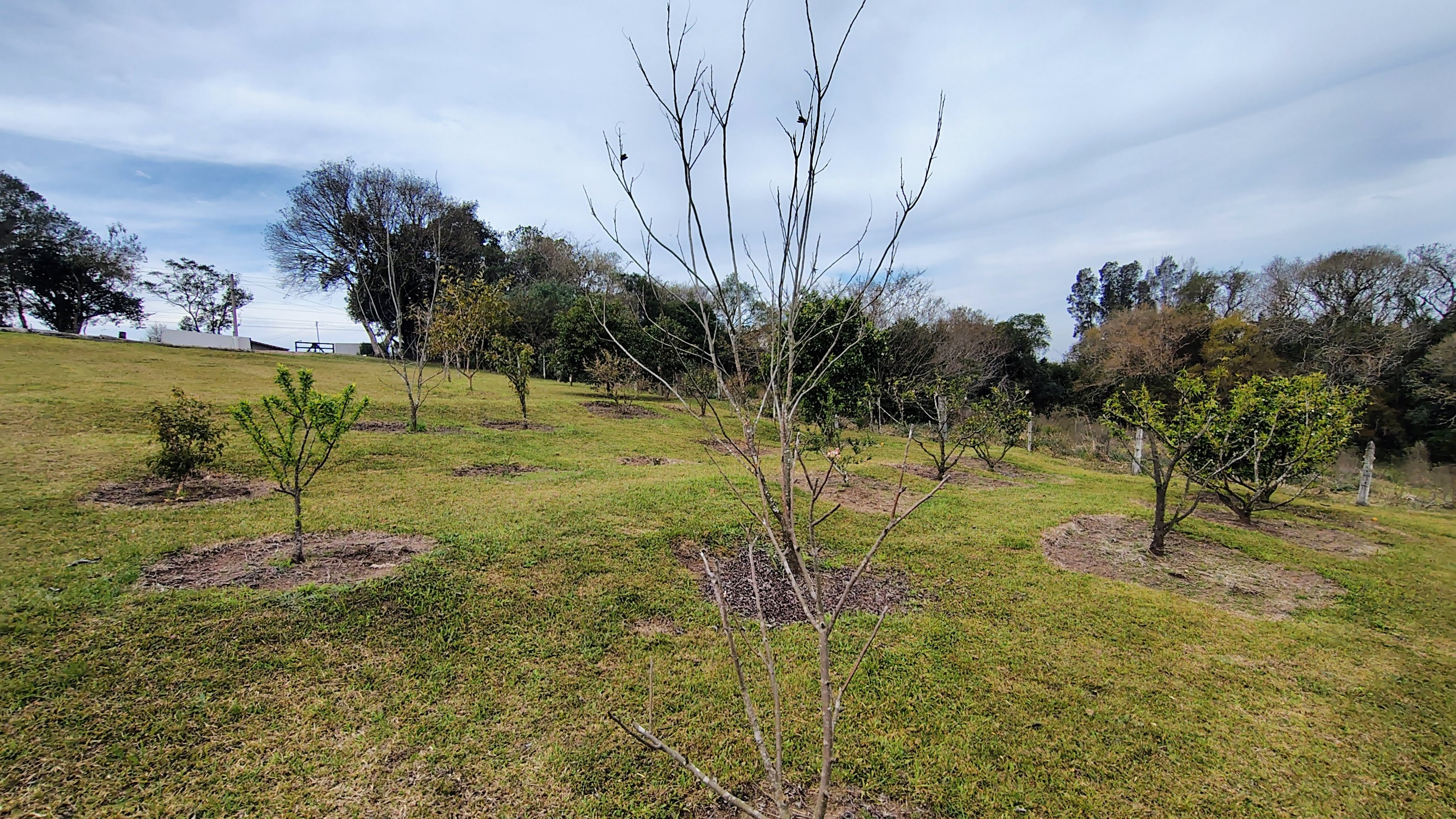 Rural com 2 Quartos à Venda, 20.000,00 m² - Foto 10
