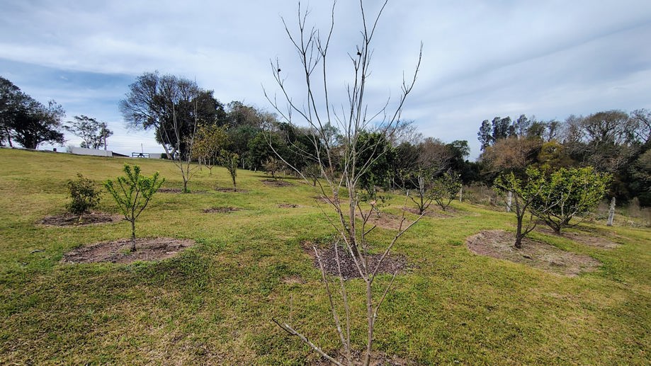 Rural com 2 Quartos à Venda, 20.000,00 m² - Foto 10