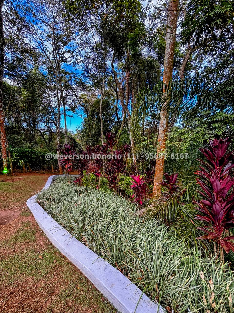 Casa com 6 Quartos à Venda, 2.100,00 m² - Foto 19