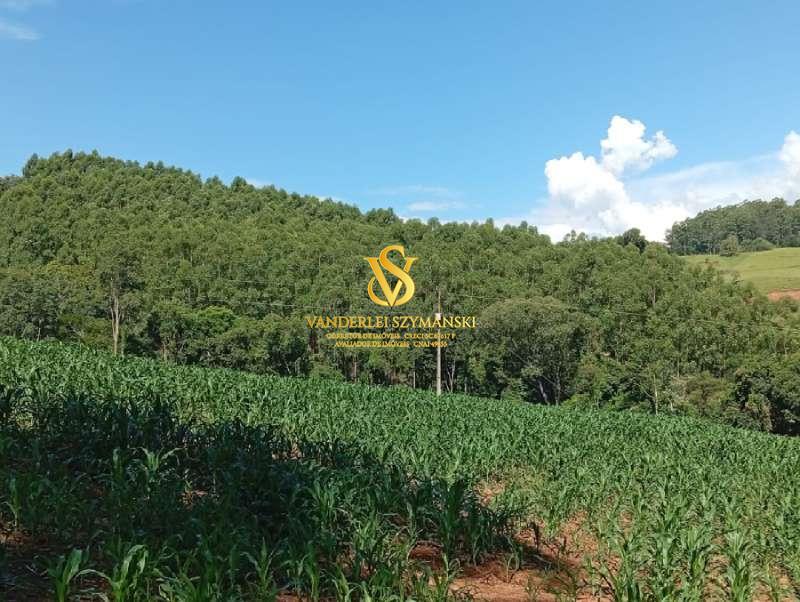 Rural à Venda, 24.600,00 m² - Foto 2