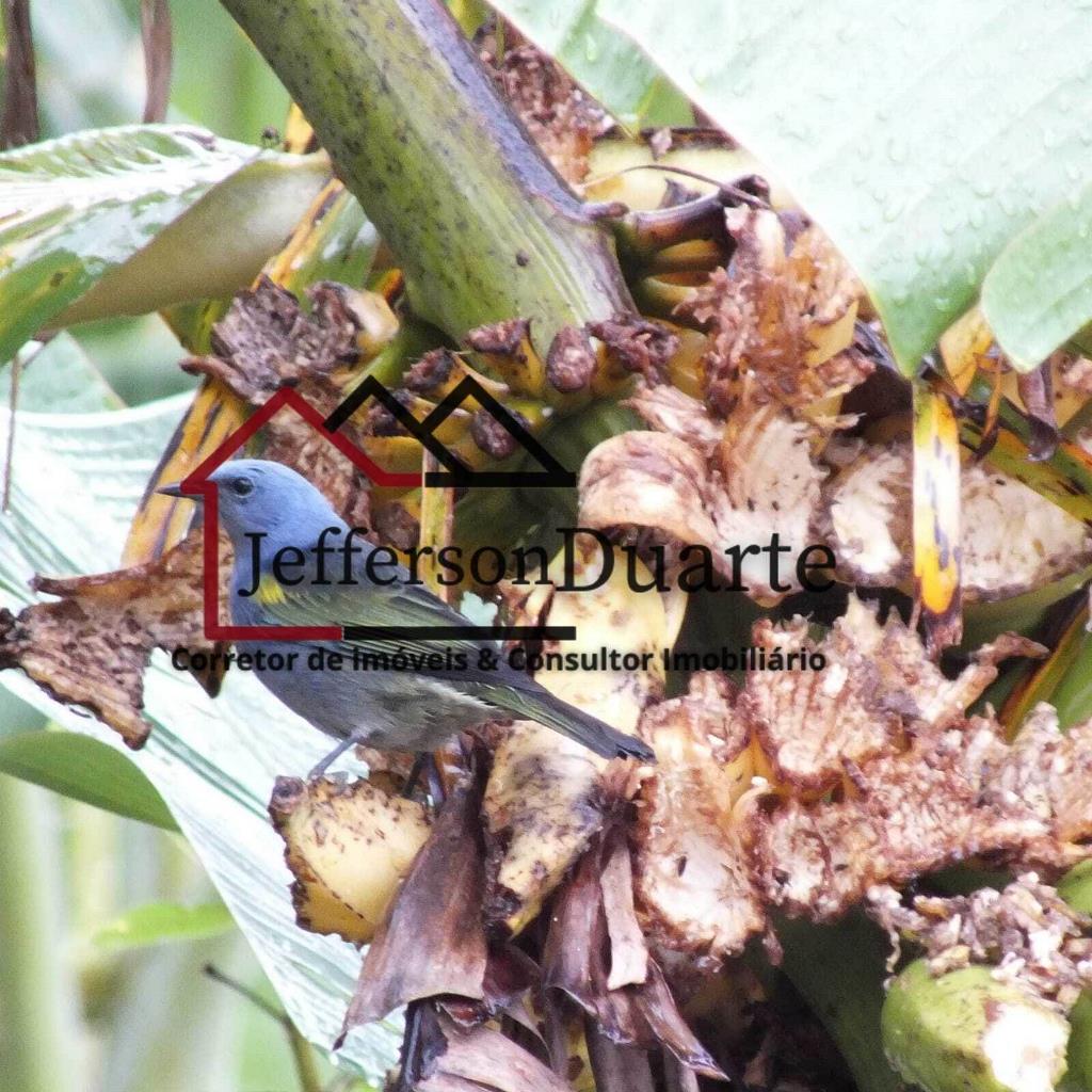 Comercial com 8 Quartos à Venda, 1.680,00 m² - Foto 15