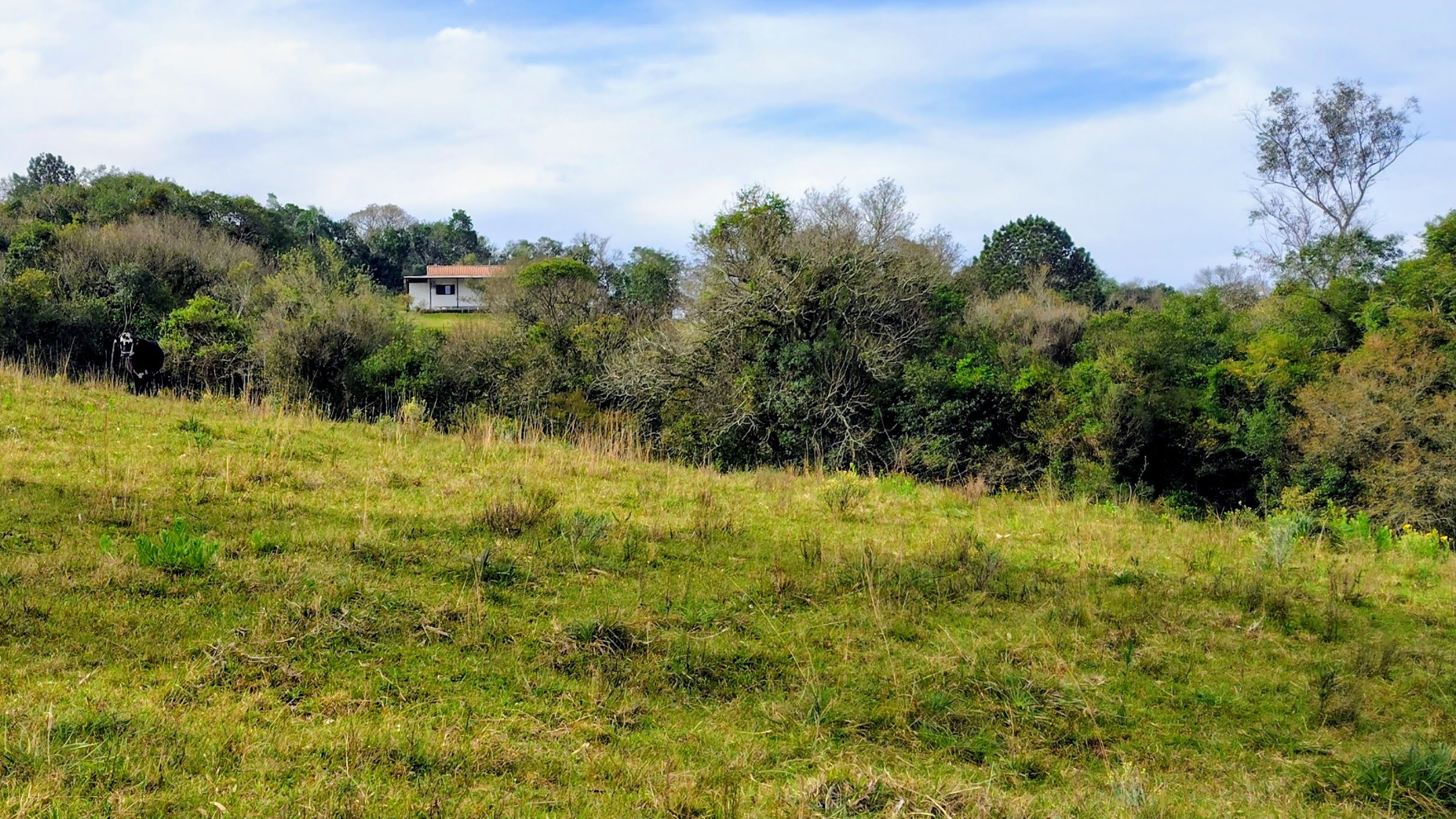 Rural com 2 Quartos à Venda, 20.000,00 m² - Foto 16